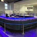 481338698_1046750134159995_218442915377955525_n