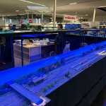 482216343_1046750344159974_1926876404951816184_n