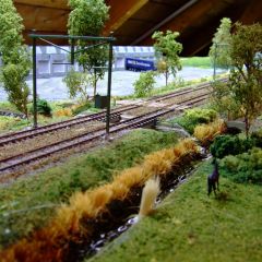 dscf0766.jpg