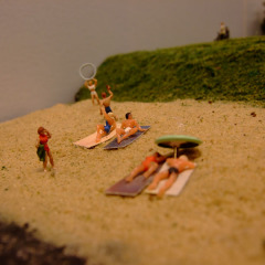 dscf1040.jpg